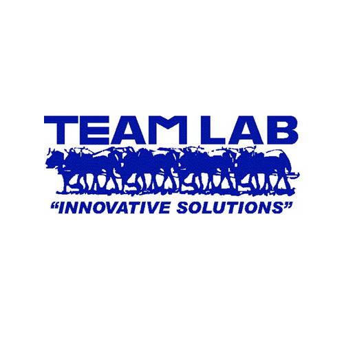 Team Lab Chemical Corp